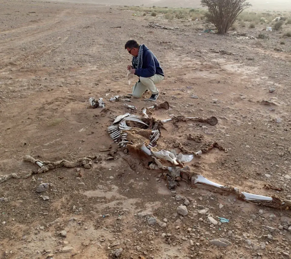Hervé Monchot 2015(c)Saudi_french_archaeological_mission_in_al-kharj