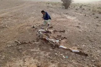 Hervé Monchot 2015(c)Saudi_french_archaeological_mission_in_al-kharj